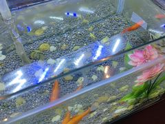 -华夏良子·足道SPA艾灸(王府井店)