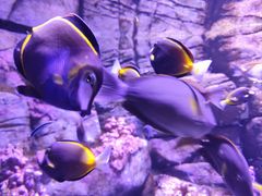 -成都浩海立方海洋公园