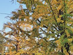 -苏州碑刻博物馆