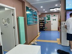 -天使宠物医院·犬猫分诊(彩虹店)