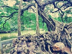 -小洲村