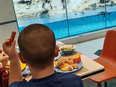 -帝企鹅自助餐厅•儿童岛•真企鹅(长隆企鹅酒店)