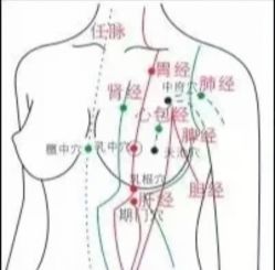 -香薇妮丝·定制减肥·身材管理