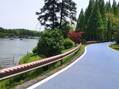 -宜兴龙背山森林公园