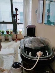 -碧莲盛·不剃发植发