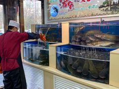 水产区-屯老二农家铁锅炖·行业领军者(梅江店)