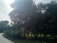 -东升文体公园