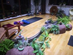 -花间禅净·瑜伽