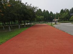 -永定河休闲森林公园