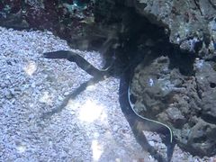-大连老虎滩海洋公园