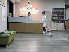 -派特宠物医院(海岸城店)
