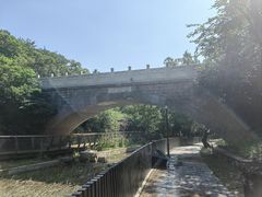 -白水寺森林公园