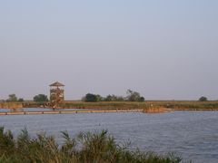 -盐城丹顶鹤湿地生态旅游区