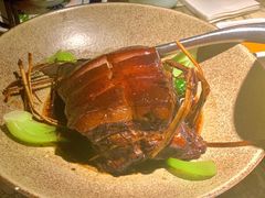 东坡肉-桂满陇天书(南京德基旗舰店)