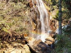 景点-大围山国家森林公园
