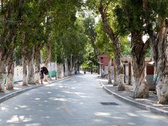 幽静的嘉庚路-集美学村