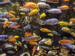 -太平洋海底世界