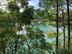 -广州市流溪河国家森林公园