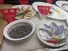 -宝燕壹号(徐汇店)