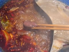 -王歘歘·chuǎ火锅(五道营店)
