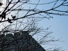-大围山国家森林公园