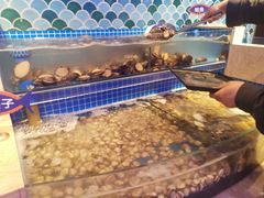 水产区-乔哥铭洋海鲜自助(皇城恒隆广场店)