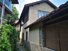 -杨家堂村