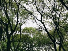 -渭滨公园