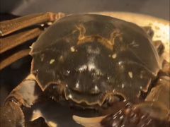-星伦多自助料理(永旺店)