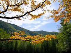 -长兴八都岕景区