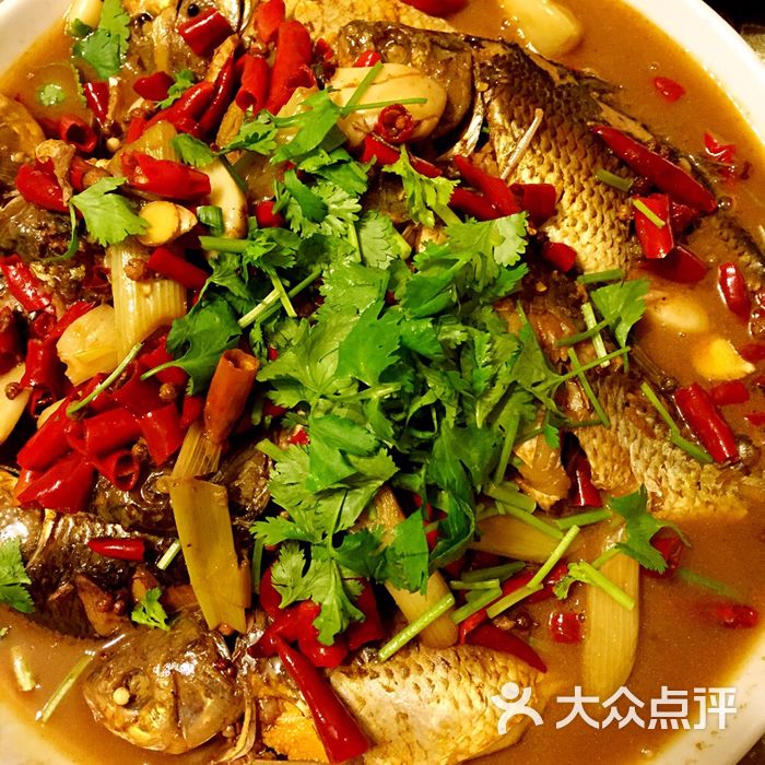 大盘鱼                 dpuser_60519346946           dpuser