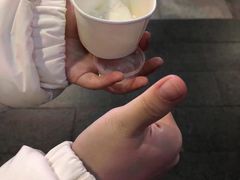 -Papa Gelato 纯手工冰淇淋
