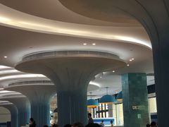 -帝企鹅自助餐厅•儿童岛•真企鹅(长隆企鹅酒店)