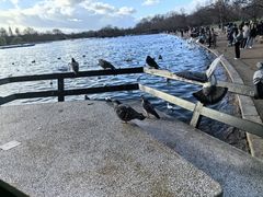 -海德公园