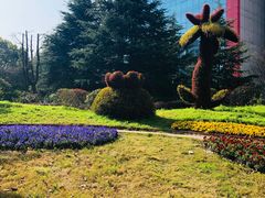 -双季花艺园艺市场(浦东店)