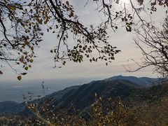 -香山公园