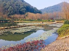 -桃花岭景区
