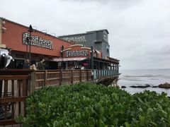 -Fish Hopper