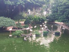 -九龙公园