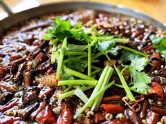 -国强牛肉(洋河总店)