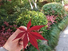 -杭州半山国家森林公园