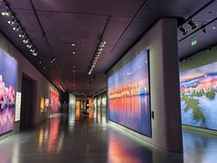 -罗红摄影艺术馆