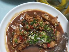 -全乐鱼馆·淳牌有机鱼直营店