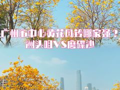 -洲头咀公园