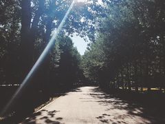 -朝阳公园游乐园