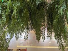 -如一鸡鲍鱼·粤式煲汤(长泰广场店)