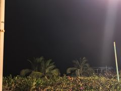 -渔家火锅·海鲜自助餐·演艺(亚龙湾天域酒店)