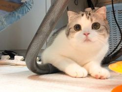 -厦门美莱整形美容医院