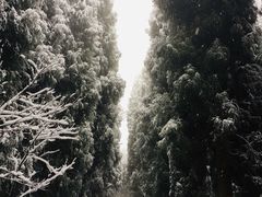 -太阳湾风景区
