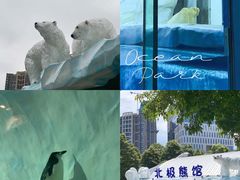 -海合安成都极地海洋公园